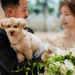 キンプトン新宿東京の写真16枚目