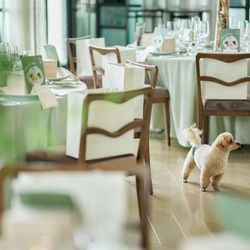 キンプトン新宿東京の写真4枚目