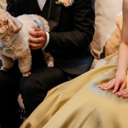 キンプトン新宿東京の写真29枚目