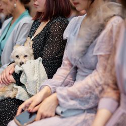 キンプトン新宿東京の写真24枚目