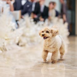 キンプトン新宿東京の写真32枚目