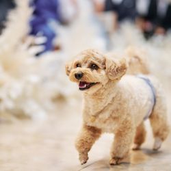 キンプトン新宿東京の写真11枚目