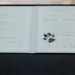 キンプトン新宿東京の写真31枚目