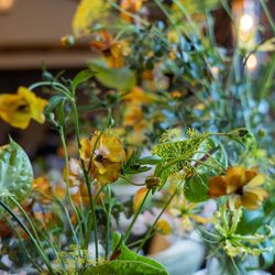 ザ ソウドウ 東山 京都の写真30枚目