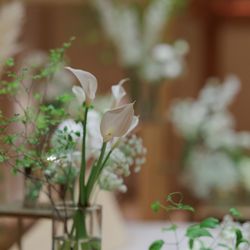 八芳園の写真10枚目