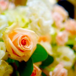 カサ・デ・アンジェラ青山の写真17枚目