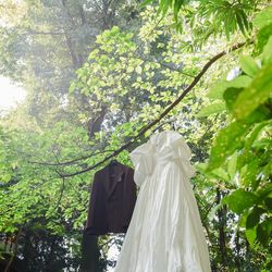 ザ ナンザンハウスの写真27枚目