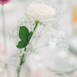 セント・ラファエロチャペル東京の写真6枚目