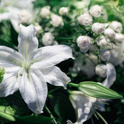 グランド ハイアット 東京の写真10枚目