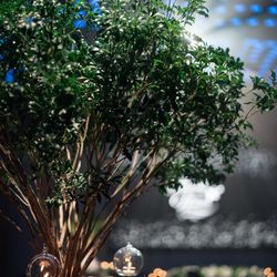 グランド ハイアット 東京の写真17枚目