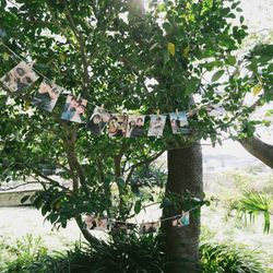 古我邸の写真36枚目