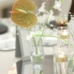 ララシャンスガーデン 東京ベイの写真22枚目