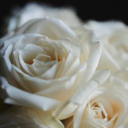 キンプトン新宿東京の写真5枚目