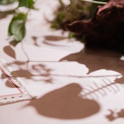 ホテル雅叙園東京の写真24枚目