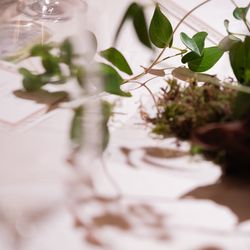 ホテル雅叙園東京の写真2枚目