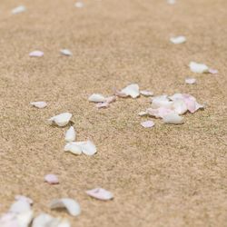 ホテル雅叙園東京の写真29枚目