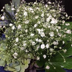 普門園の写真9枚目