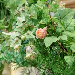 ハートコート横浜の写真18枚目