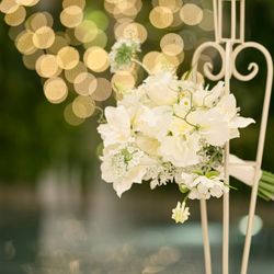 ララシャンス岡崎迎賓館の写真16枚目