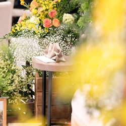 ララシャンス岡崎迎賓館の写真22枚目