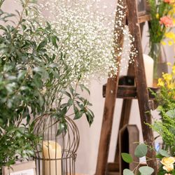 ララシャンス岡崎迎賓館の写真10枚目