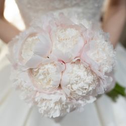 ハートコート横浜の写真29枚目