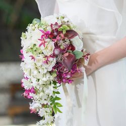 クラシカ表参道の写真12枚目