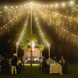 サイレントクラブの写真25枚目