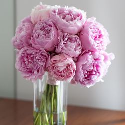 パレスホテル東京の写真4枚目