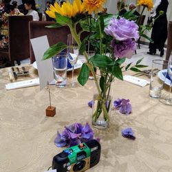 Mia Viaの写真13枚目