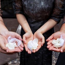 クラシカ表参道の写真26枚目