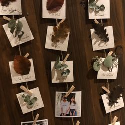 クアンティックの写真14枚目