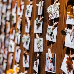 クアンティックの写真10枚目