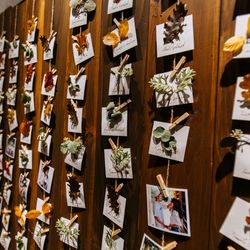 クアンティックの写真2枚目