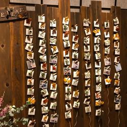 クアンティックの写真29枚目