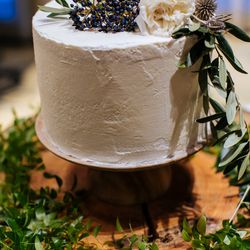 クアンティックの写真22枚目