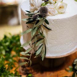 クアンティックの写真4枚目