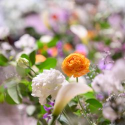 ザ・プリンス パークタワー東京の写真34枚目