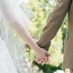 アコールハーブの写真3枚目