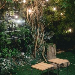 アコールハーブの写真33枚目