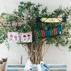 アコールハーブの写真31枚目