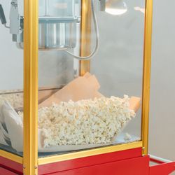 アコールハーブの写真9枚目