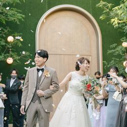 アコールハーブの写真34枚目