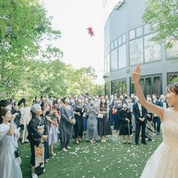 アコールハーブの写真20枚目