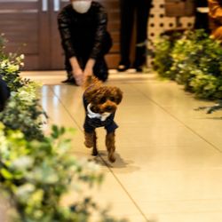 ウィズザスタイルフクオカ の写真13枚目