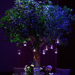 パレスホテル東京の写真3枚目