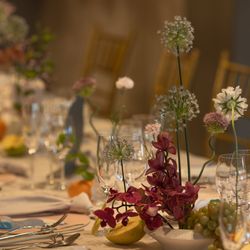 TOASTの写真30枚目