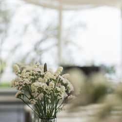 TOASTの写真8枚目