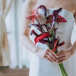 マキシマニスの写真12枚目