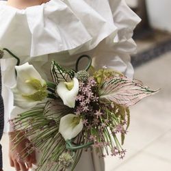 マキシマニスの写真15枚目